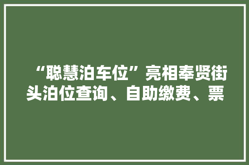 “聪慧泊车位”亮相奉贤街头泊位查询、自助缴费、票据打印手机上搞定 “聪慧泊车位”亮相奉贤街头泊位查询、自助缴费、票据打印手机上搞定 人工智能