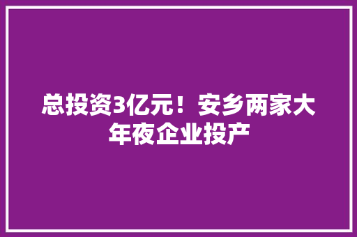 总投资3亿元！安乡两家大年夜企业投产