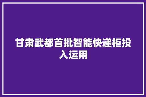 甘肃武都首批智能快递柜投入运用 甘肃武都首批智能快递柜投入运用 智能家居