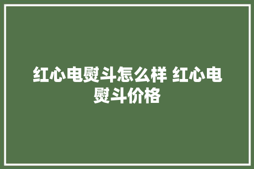 红心电熨斗怎么样 红心电熨斗价格