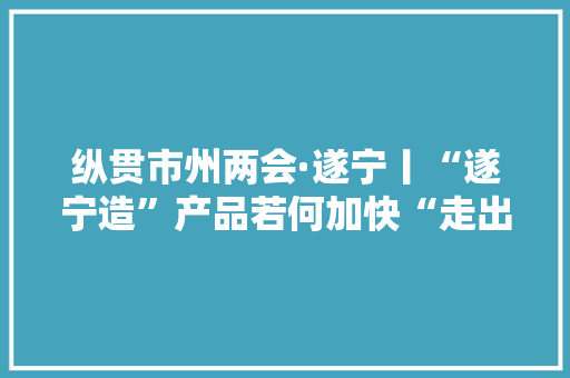纵贯市州两会·遂宁丨“遂宁造”产品若何加快“走出去”提升市场占据率？