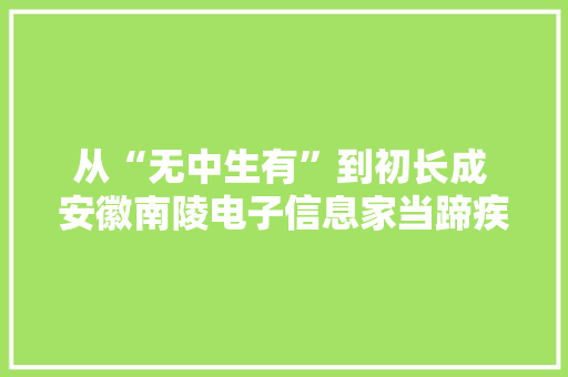 从“无中生有”到初长成 安徽南陵电子信息家当蹄疾步稳