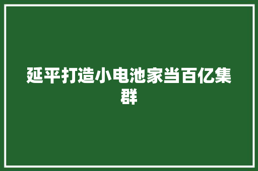 延平打造小电池家当百亿集群