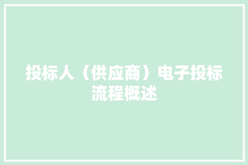 投标人（供应商）电子投标流程概述