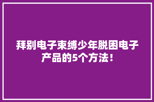 拜别电子束缚少年脱困电子产品的5个方法！ 拜别电子束缚少年脱困电子产品的5个方法！ 智能家居