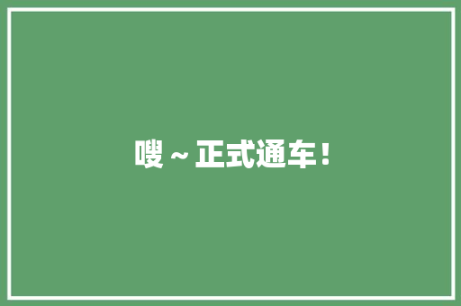 嗖～正式通车！