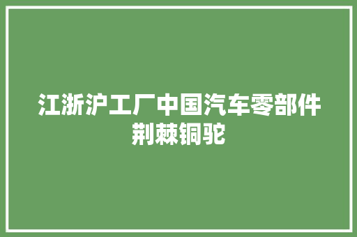 江浙沪工厂中国汽车零部件荆棘铜驼
