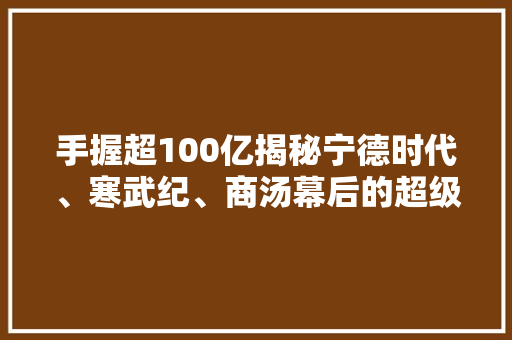 手握超100亿揭秘宁德时代、寒武纪、商汤幕后的超级“捕手”