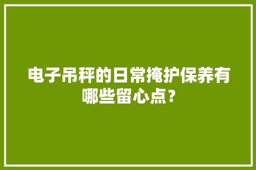 电子吊秤的日常掩护保养有哪些留心点？