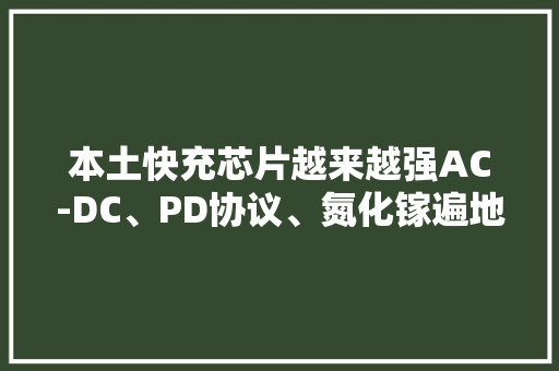 本土快充芯片越来越强AC-DC、PD协议、氮化镓遍地开花 本土快充芯片越来越强AC-DC、PD协议、氮化镓遍地开花 互联通信