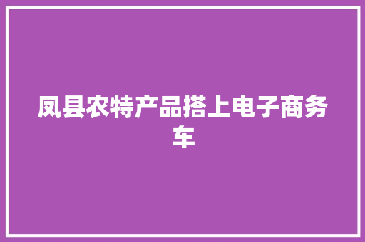 凤县农特产品搭上电子商务车