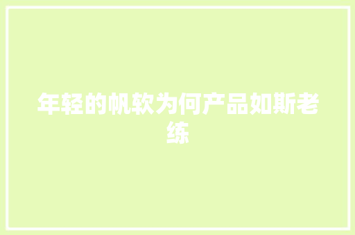 年轻的帆软为何产品如斯老练