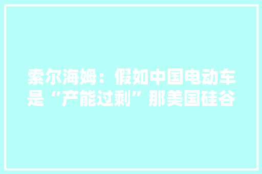 索尔海姆：假如中国电动车是“产能过剩”那美国硅谷的数字产品是什么？