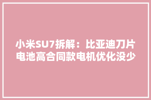小米SU7拆解：比亚迪刀片电池高合同款电机优化没少下功夫！