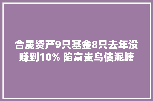 合晟资产9只基金8只去年没赚到10% 陷富贵鸟债泥塘