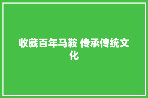 收藏百年马鞍 传承传统文化
