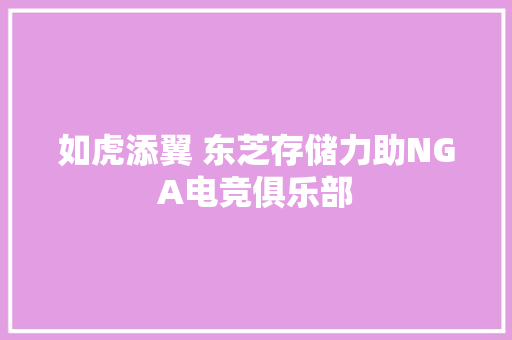 如虎添翼 东芝存储力助NGA电竞俱乐部 如虎添翼 东芝存储力助NGA电竞俱乐部 互联通信