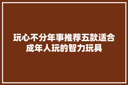 玩心不分年事推荐五款适合成年人玩的智力玩具