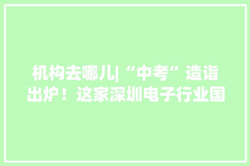 机构去哪儿|“中考”造诣出炉！这家深圳电子行业国企广受机构关注