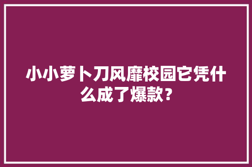小小萝卜刀风靡校园它凭什么成了爆款？