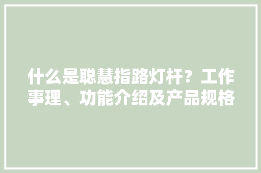 什么是聪慧指路灯杆？工作事理、功能介绍及产品规格