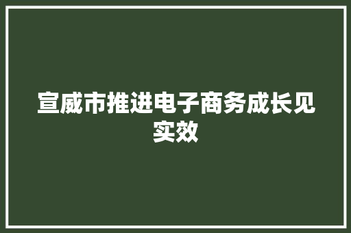 宣威市推进电子商务成长见实效