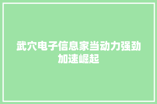 武穴电子信息家当动力强劲加速崛起
