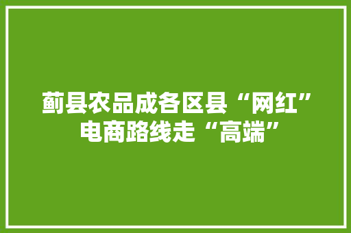 蓟县农品成各区县“网红” 电商路线走“高端”