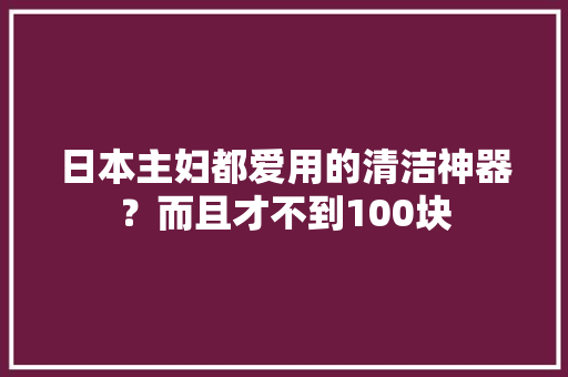 日本主妇都爱用的清洁神器？而且才不到100块 日本主妇都爱用的清洁神器？而且才不到100块 人工智能