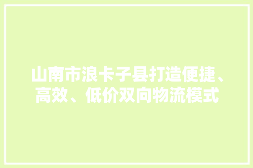 山南市浪卡子县打造便捷、高效、低价双向物流模式 山南市浪卡子县打造便捷、高效、低价双向物流模式 人工智能