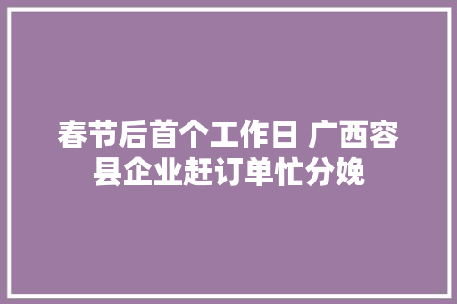 春节后首个工作日 广西容县企业赶订单忙分娩 春节后首个工作日 广西容县企业赶订单忙分娩 智能科技