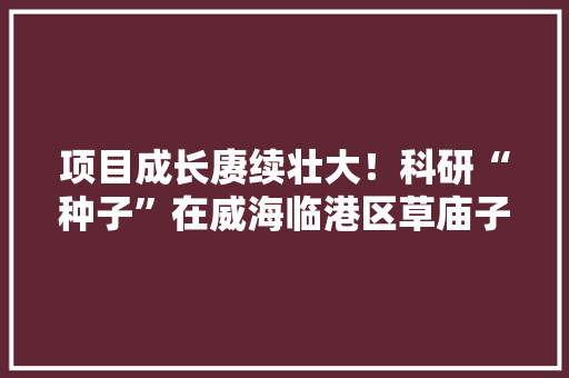 项目成长赓续壮大！科研“种子”在威海临港区草庙子镇萌发