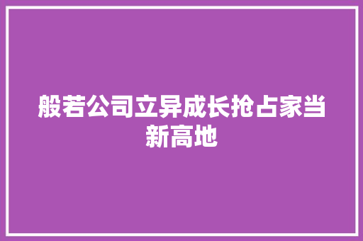 般若公司立异成长抢占家当新高地