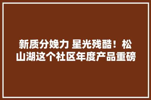 新质分娩力 星光残酷！松山湖这个社区年度产品重磅宣告：创造新质分娩力的残酷星空