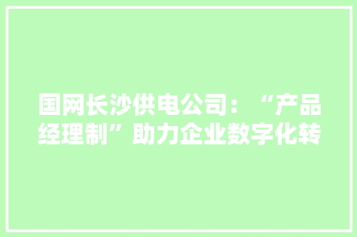 国网长沙供电公司：“产品经理制”助力企业数字化转型