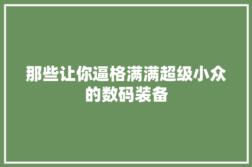 那些让你逼格满满超级小众的数码装备
