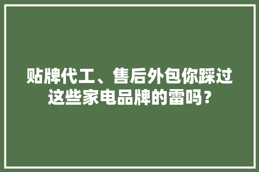 贴牌代工、售后外包你踩过这些家电品牌的雷吗？ 贴牌代工、售后外包你踩过这些家电品牌的雷吗？ 人工智能