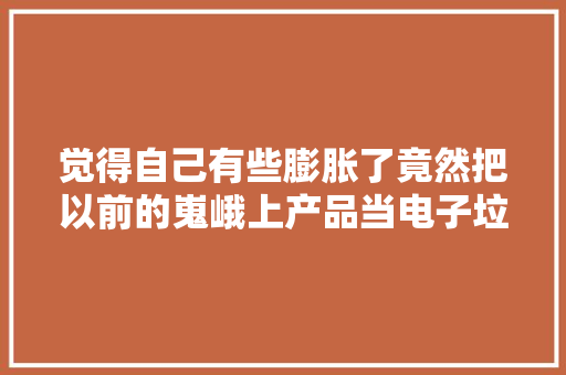 觉得自己有些膨胀了竟然把以前的嵬峨上产品当电子垃圾