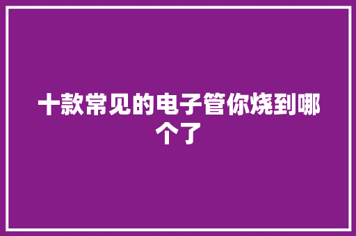 十款常见的电子管你烧到哪个了