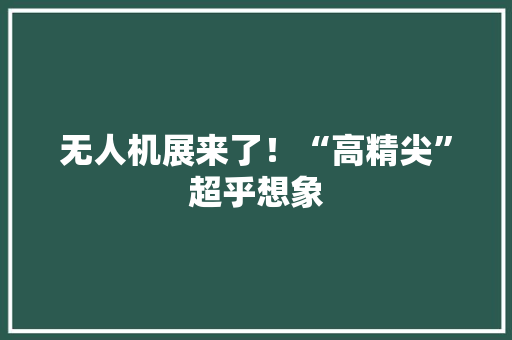 无人机展来了！“高精尖”超乎想象