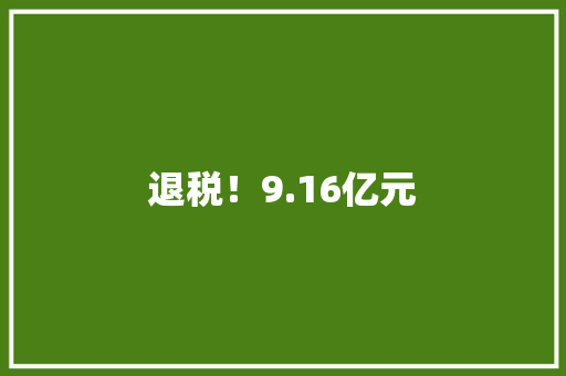 退税！9.16亿元