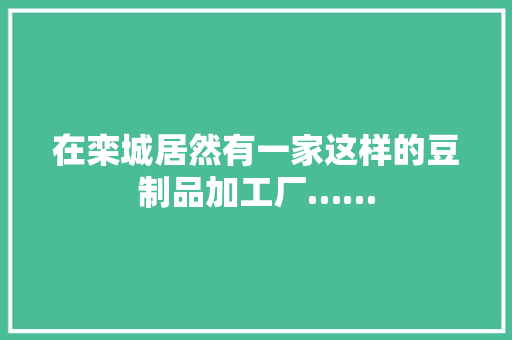 在栾城居然有一家这样的豆制品加工厂……