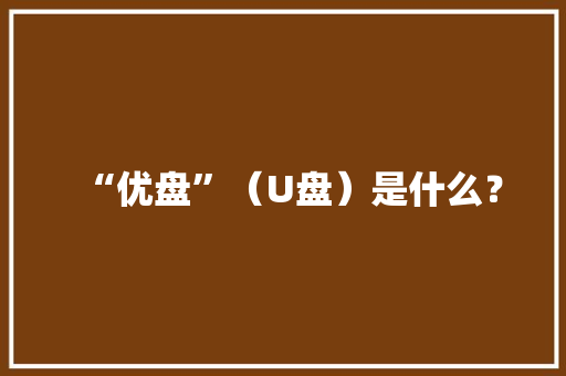 “优盘”（U盘）是什么？