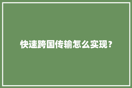 快速跨国传输怎么实现？