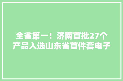 全省第一！济南首批27个产品入选山东省首件套电子产品公示名单 全省第一！济南首批27个产品入选山东省首件套电子产品公示名单 智能家居