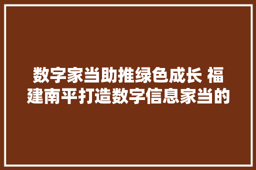 数字家当助推绿色成长 福建南平打造数字信息家当的投资凹地