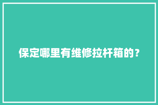 保定哪里有维修拉杆箱的？