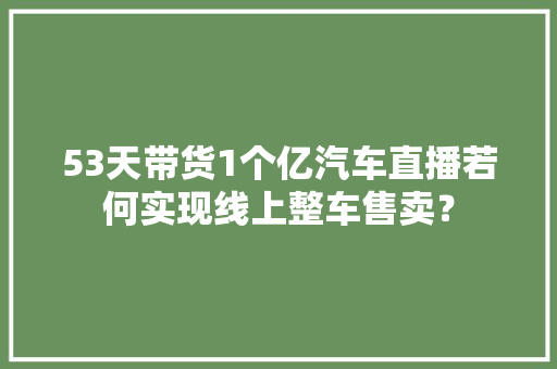 53天带货1个亿汽车直播若何实现线上整车售卖？