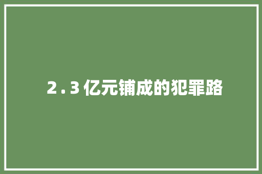 ２.３亿元铺成的犯罪路