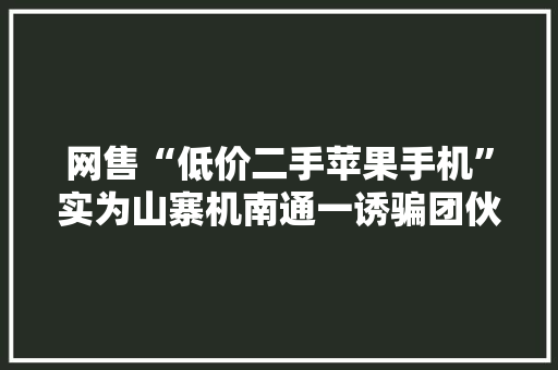 网售“低价二手苹果手机”实为山寨机南通一诱骗团伙3人获刑